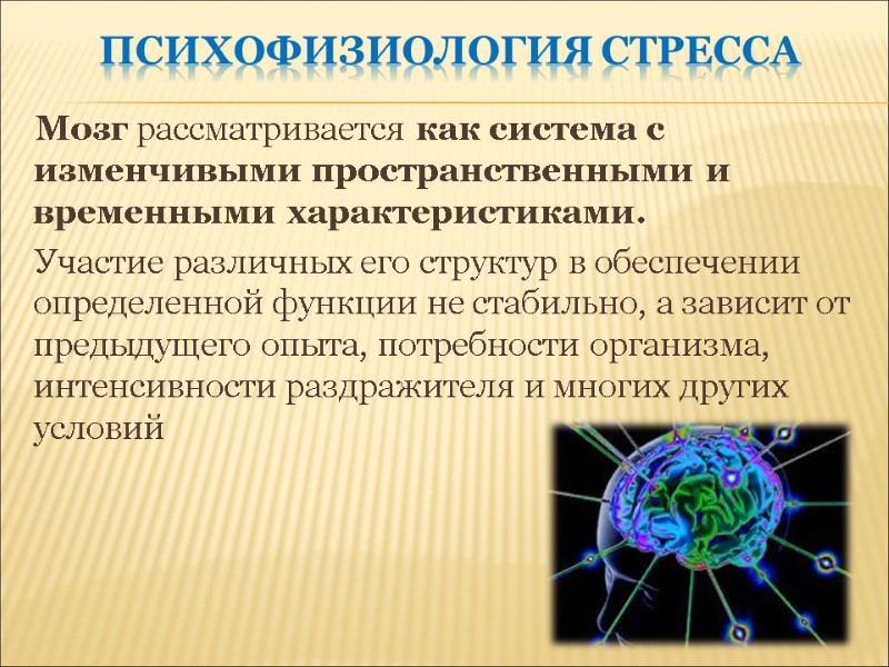 Психофизиология стресса Мозг рассматривается как система с изменчивыми пространственными и временными характеристиками.  Участие